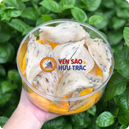 Yến Sào Thô Ít Lông 