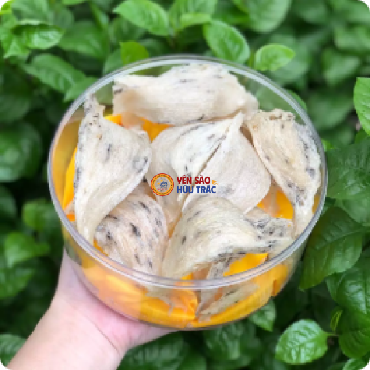 Yến Sào Thô Ít Lông 